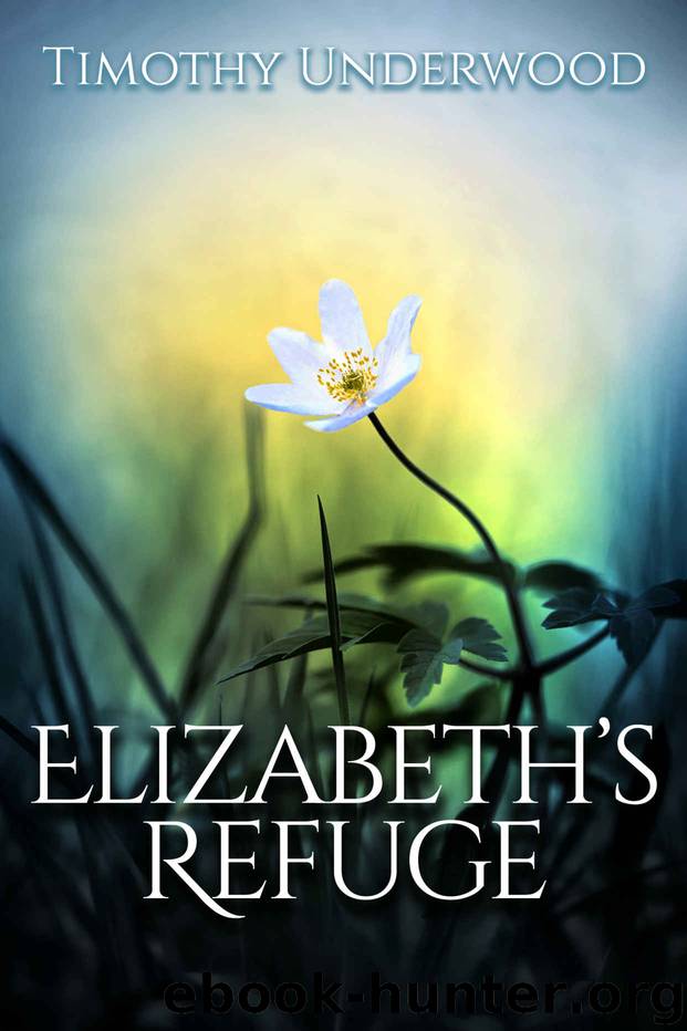 Elizabeth's Refuge by Timothy Underwood