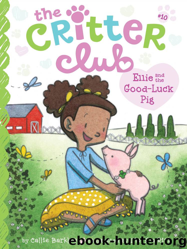 Ellie and the Good-Luck Pig by Callie Barkley