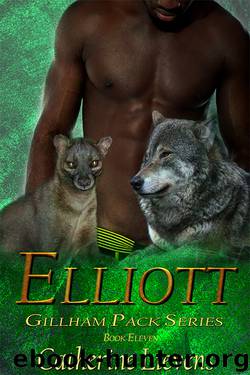 Elliott by Catherine Lievens