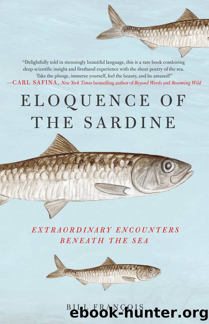 Eloquence of the Sardine: Extraordinary Encounters Beneath the Sea by Bill François