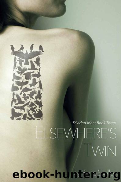 Elsewhere's Twin: a novel of sex, doppelgängers, and the Collective Id (Divided Man Book 3) by Rune Skelley