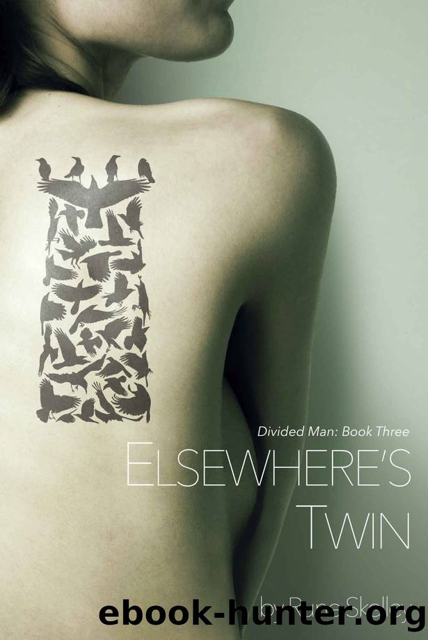Elsewhere's Twin_a novel of sex, doppelgÃ¤ngers, and the Collective Id by Rune Skelley
