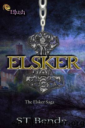 Elsker by ST Bende