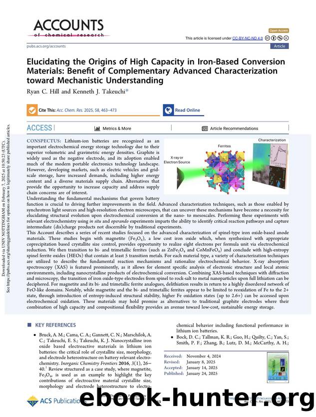 Elucidating the Origins of High Capacity in Iron-Based Conversion Materials: Benefit of Complementary Advanced Characterization toward Mechanistic Understanding by Ryan C. Hill & Kenneth J. Takeuchi