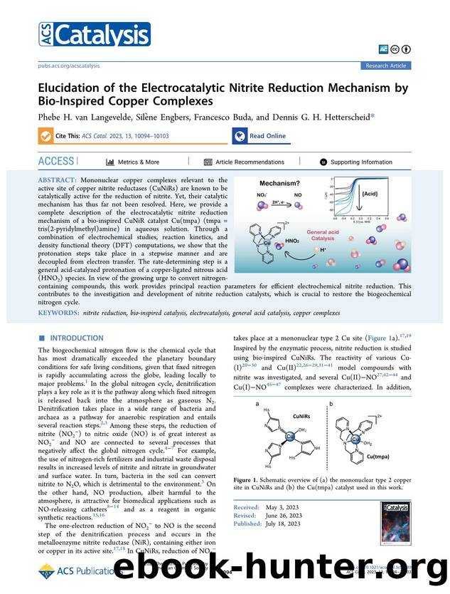 Elucidation of the Electrocatalytic Nitrite Reduction Mechanism by Bio-Inspired Copper Complexes by Phebe H. van Langevelde Silène Engbers Francesco Buda and Dennis G. H. Hetterscheid