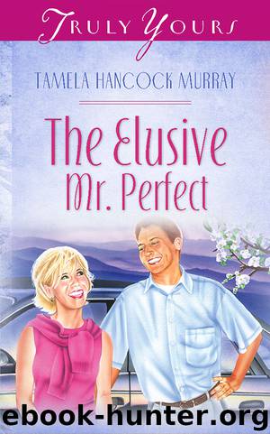 Elusive Mr. Perfect by Murray Tamela Hancock