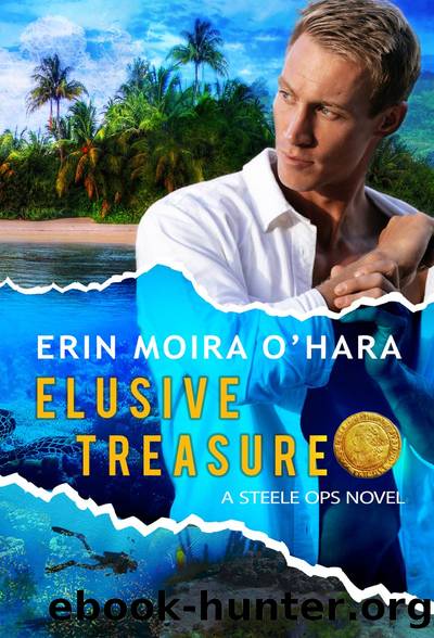 Elusive Treasure by Erin Moira O'Hara