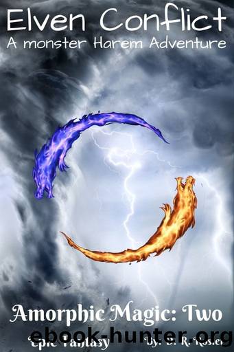 Elven Conflict by D. R. Rosier
