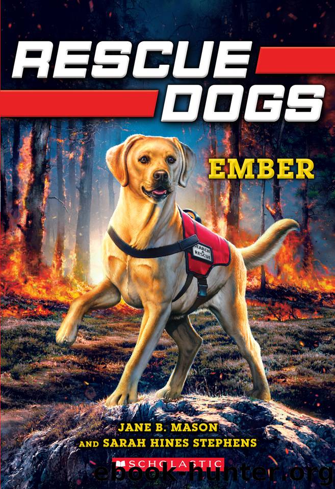Ember by Jane B. Mason
