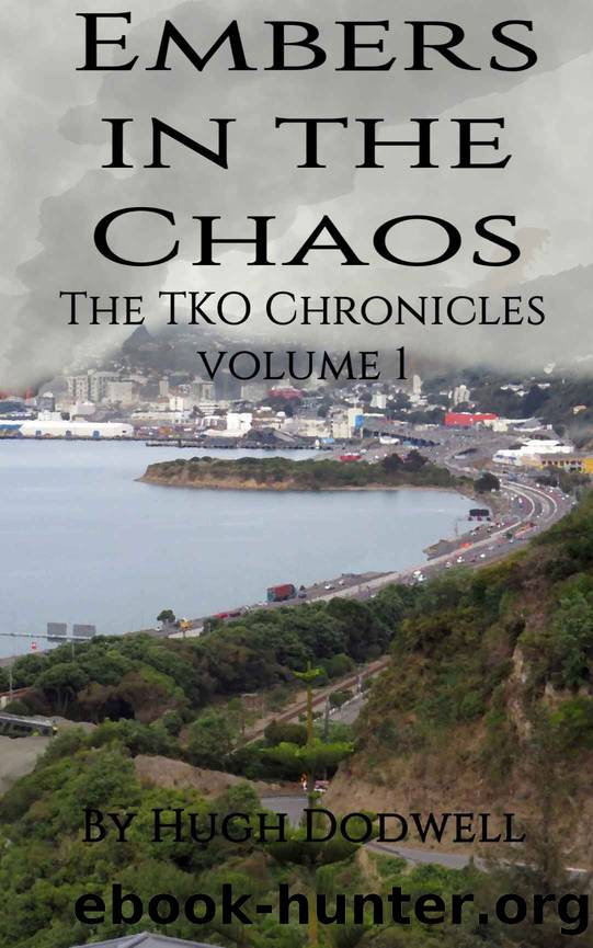 Embers in the Chaos: The TKO Chronicles Volume 1 by Hugh Dodwell