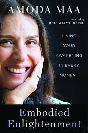 Embodied Enlightenment by Amoda Maa Jeevan