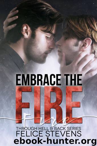 Embrace the Fire by Felice Stevens