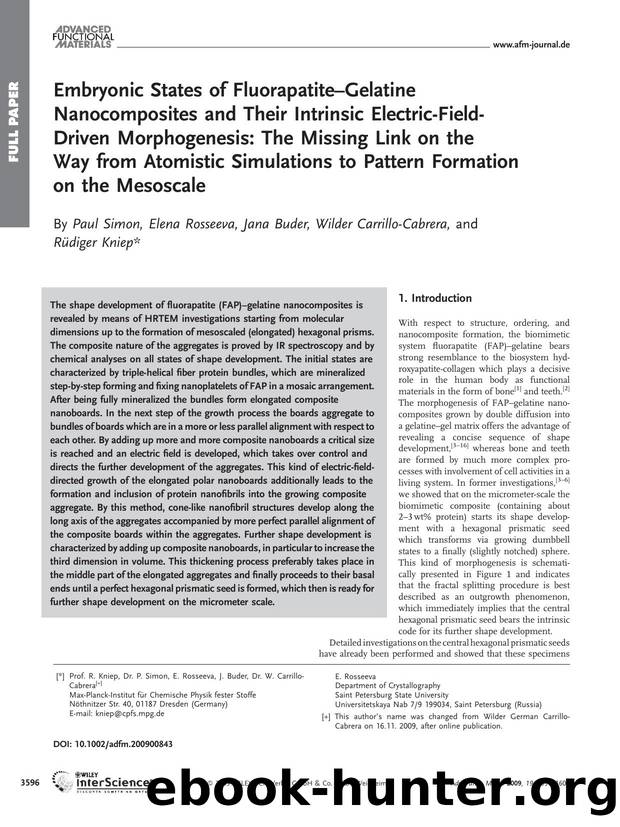 Embryonic States of Fluorapatite-Gelatine Nanocomposites and Their Intrinsic Electric-Field-Driven Morphogenesis: The Missing Link on the Way from Atomistic Simulations to Pattern  by Unknown