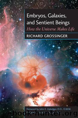 Embryos, Galaxies, and Sentient Beings by Richard Grossinger