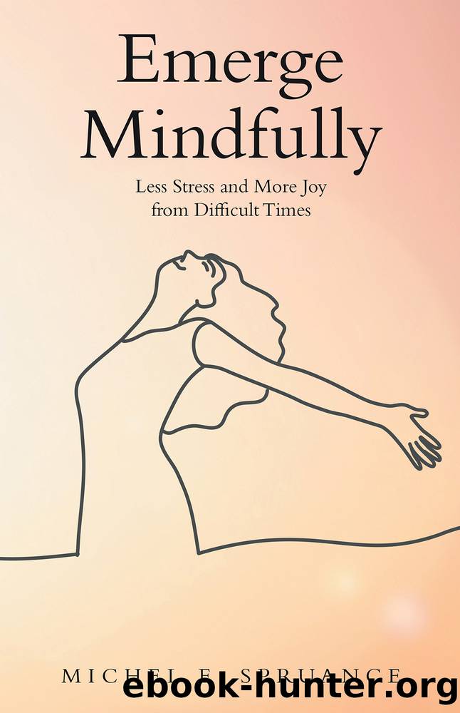 Emerge Mindfully by Michel E. Spruance