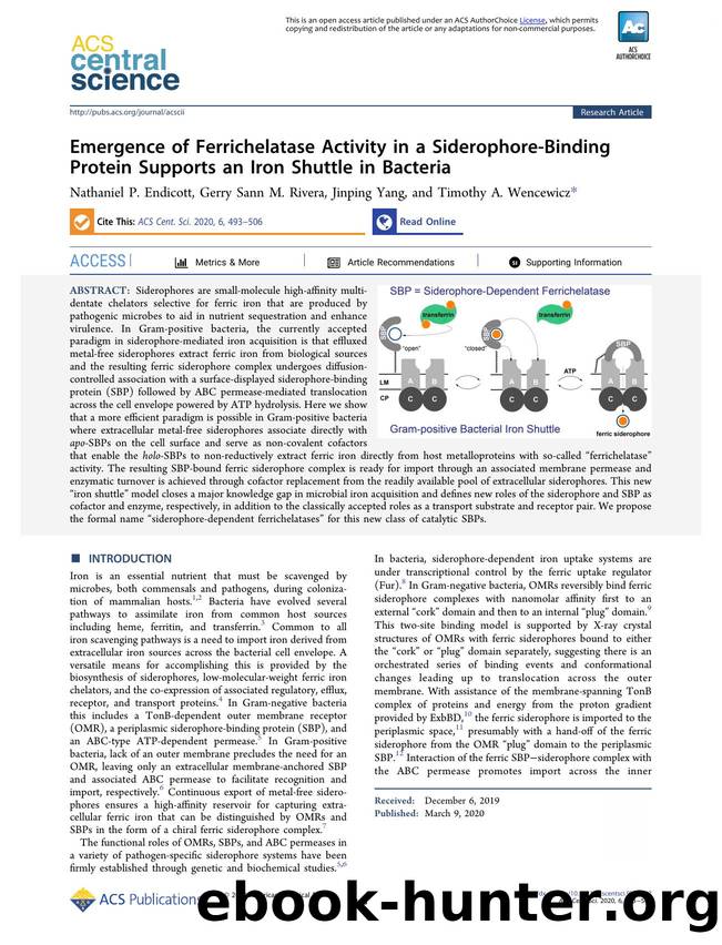 Emergence of Ferrichelatase Activity in a Siderophore-Binding Protein Supports an Iron Shuttle in Bacteria by unknow