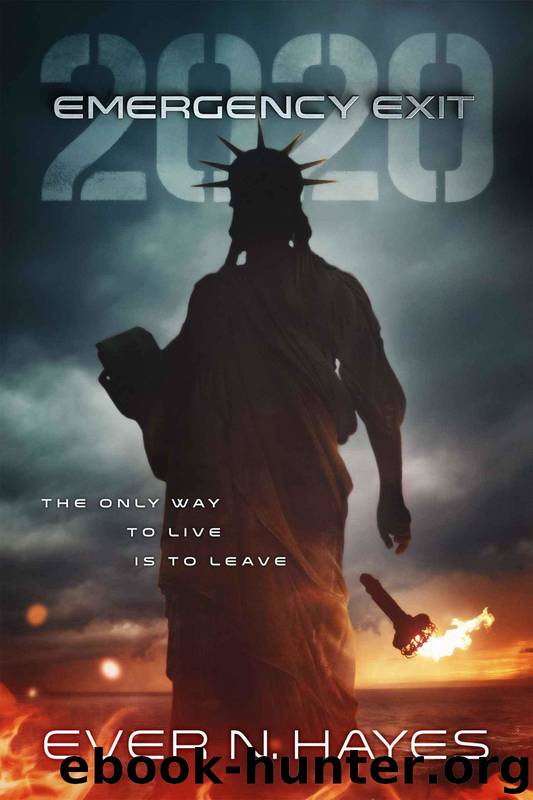 Emergency Exit: 2020 by Ever N Hayes