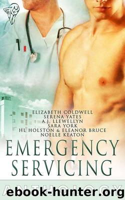 Emergency Servicing by Llewellyn A.J. & Yates Serena & York Sara & Bruce Eleanor & Coldwell Elizabeth & Holston H.L. & Keaton Noelle
