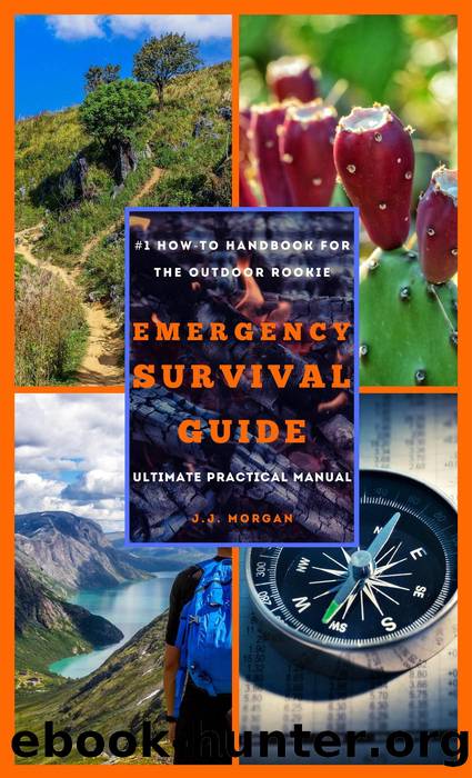 Emergency Survival Guide by J.j. Morgan