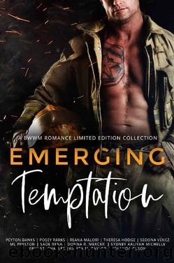 Emerging Temptation: A BWWM Romance Limited Edition Collection by unknow