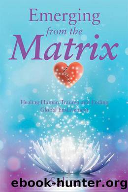 Emerging from the Matrix by Salini