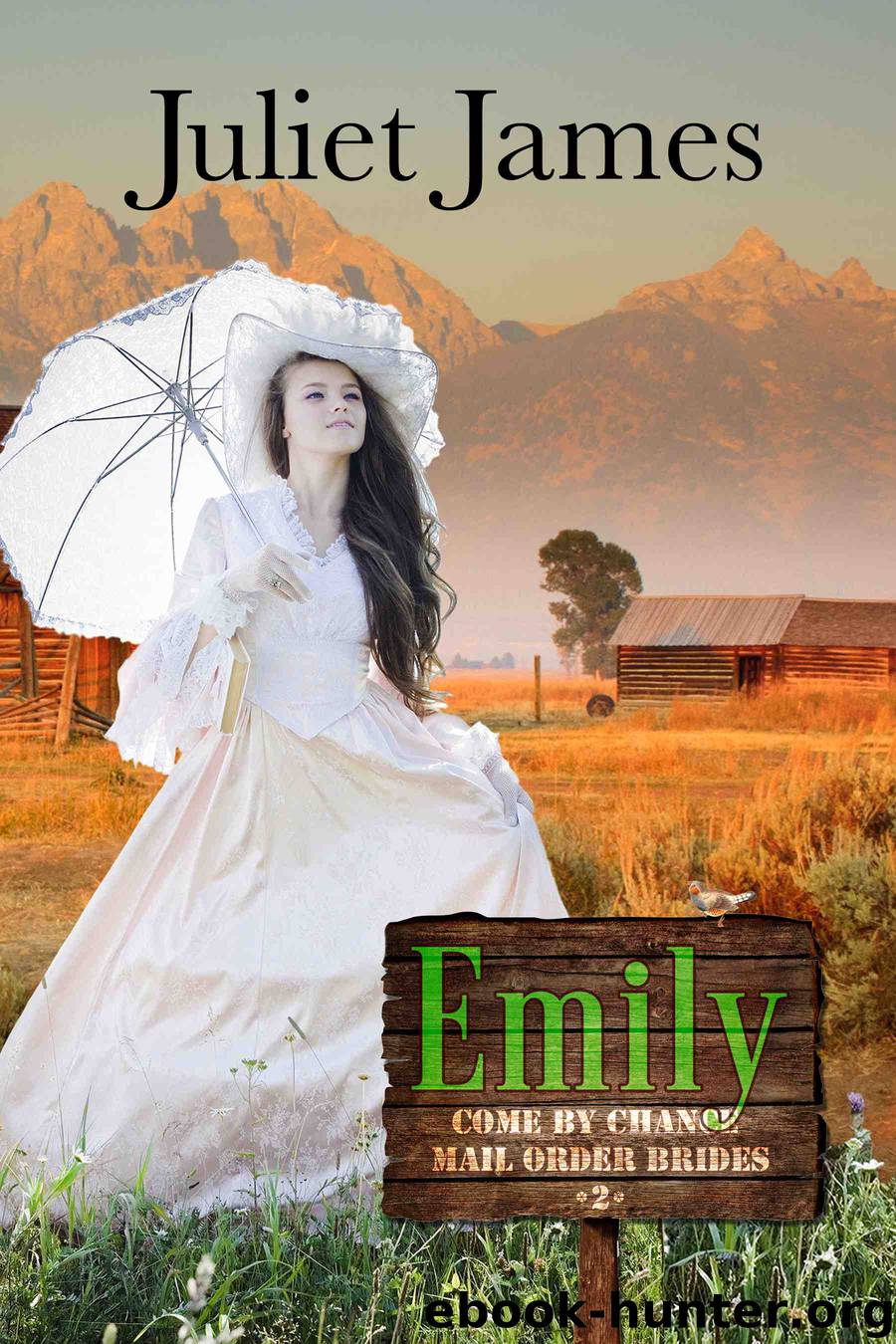 Emily by Juliet James