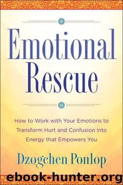 Emotional Rescue: How to Work with Your Emotions to Transform Hurt and Confusion into Energy That Empowers You by Dzogchen Ponlop
