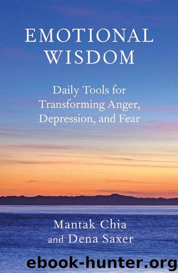 Emotional Wisdom by Mantak Chia