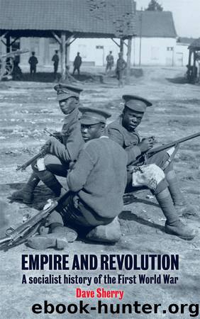 Empire and Revolution: A Socialist History of the First World War by Dave Sherry