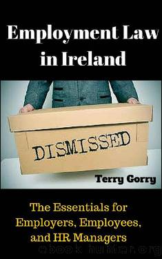 Employment Law in Ireland by Terry Gorry
