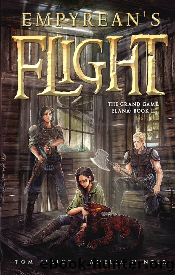 Empyrean's Flight: An Epic Fantasy LitRPG Adventure by Tom Elliot & Amelia Winter