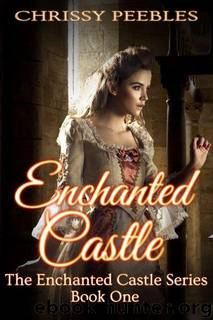 Enchanted Castle A Novelette by Chrissy Peebles