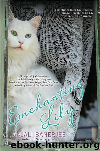 Enchanting Lily by Anjali Banerjee