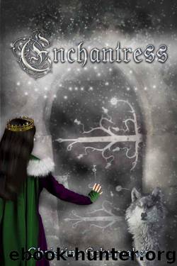 Enchantress by Christine Schumaker