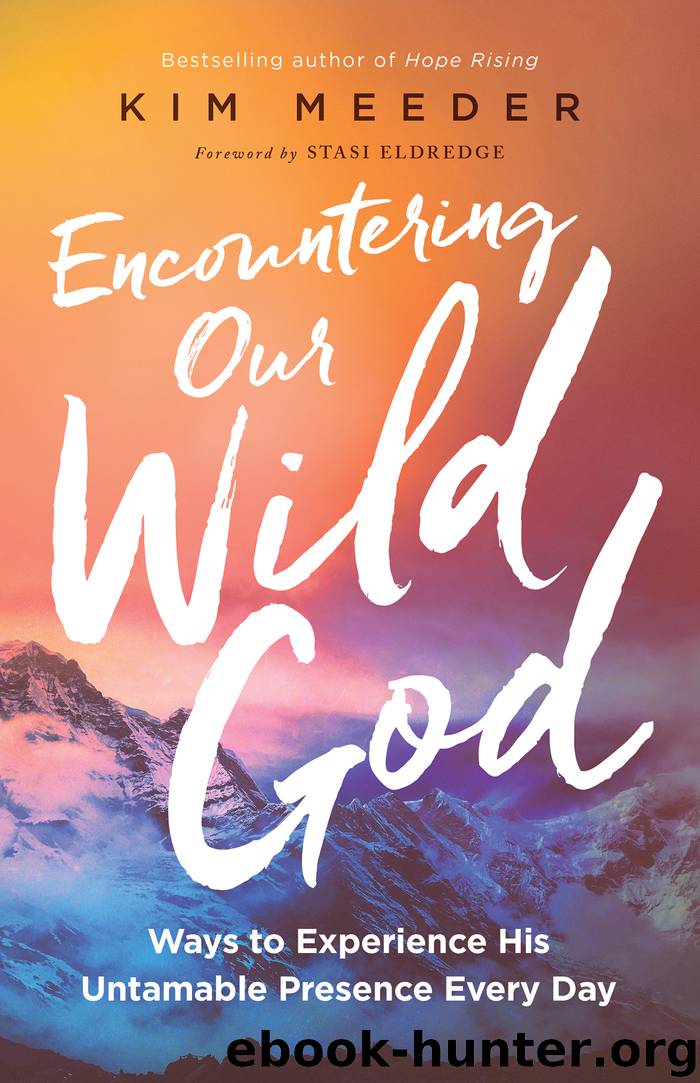 Encountering Our Wild God by Kim Meeder