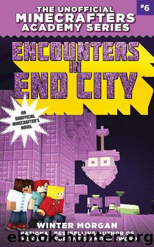 Encounters in End City by Winter Morgan