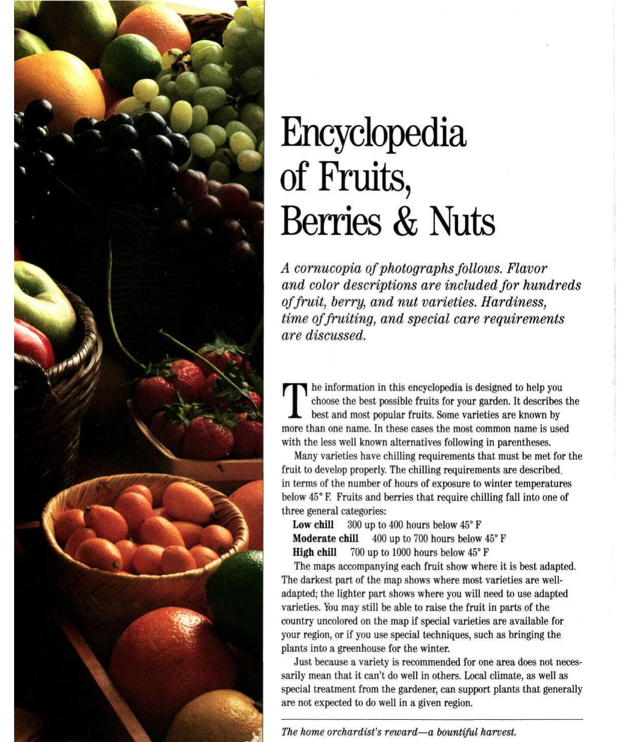 Encyclopedia Of Fruits, Berries And Nuts by Unknown