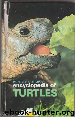 Encyclopedia Of Turtles by Неизвестный автор