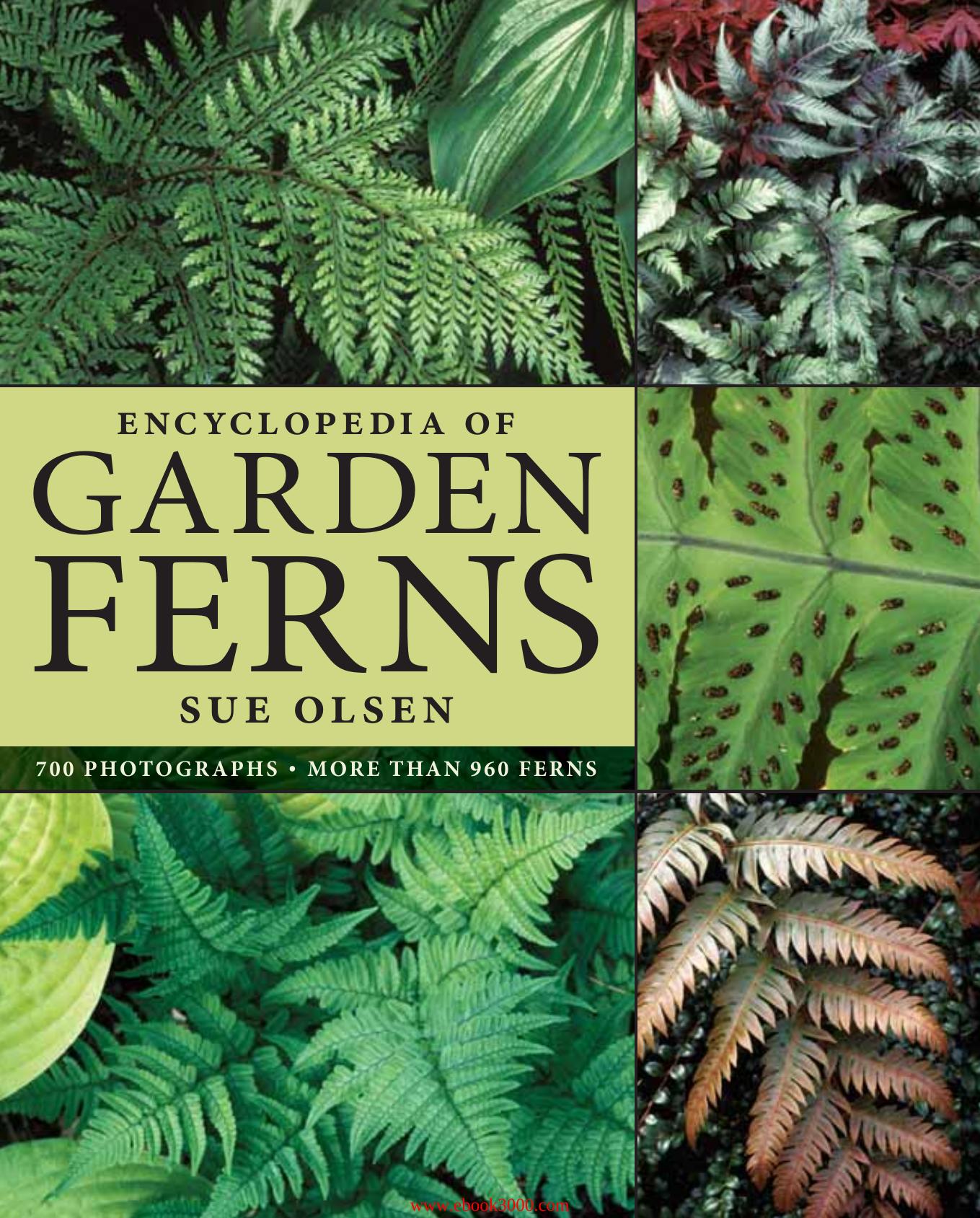 Encyclopedia of Garden Ferns by Unknow