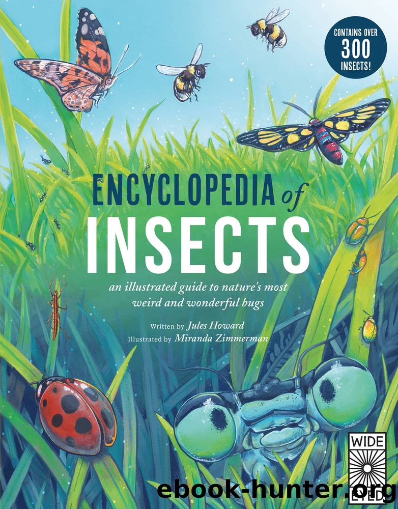 Encyclopedia of Insects by Howard Jules; Zimmerman Miranda;