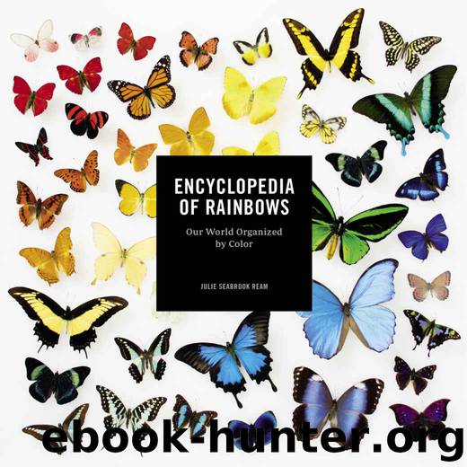 Encyclopedia of Rainbows: Our World Organized by Color by Ream Julie Seabrook