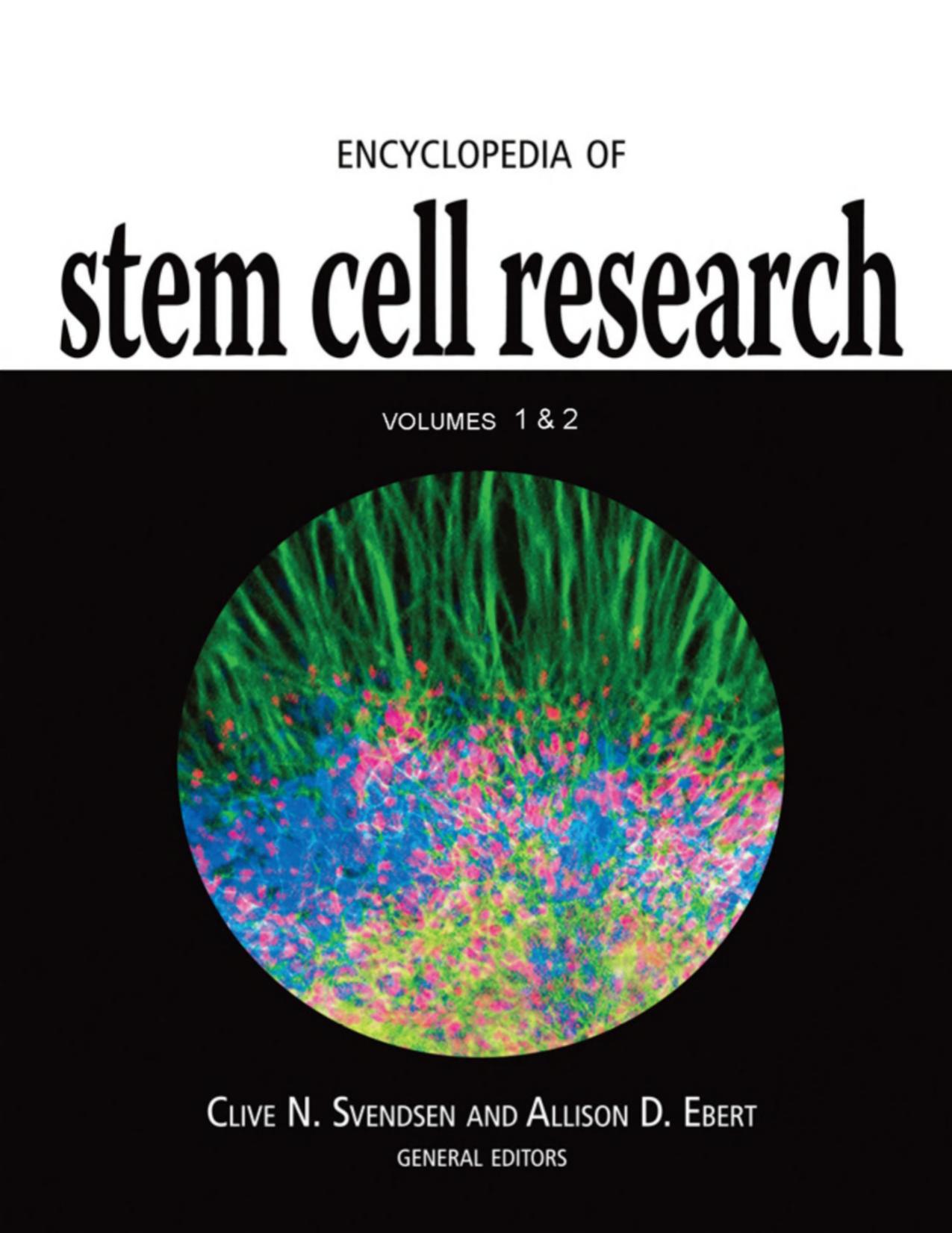 Encyclopedia of Stem Cell Research (2 Vol.Set) by Unknow
