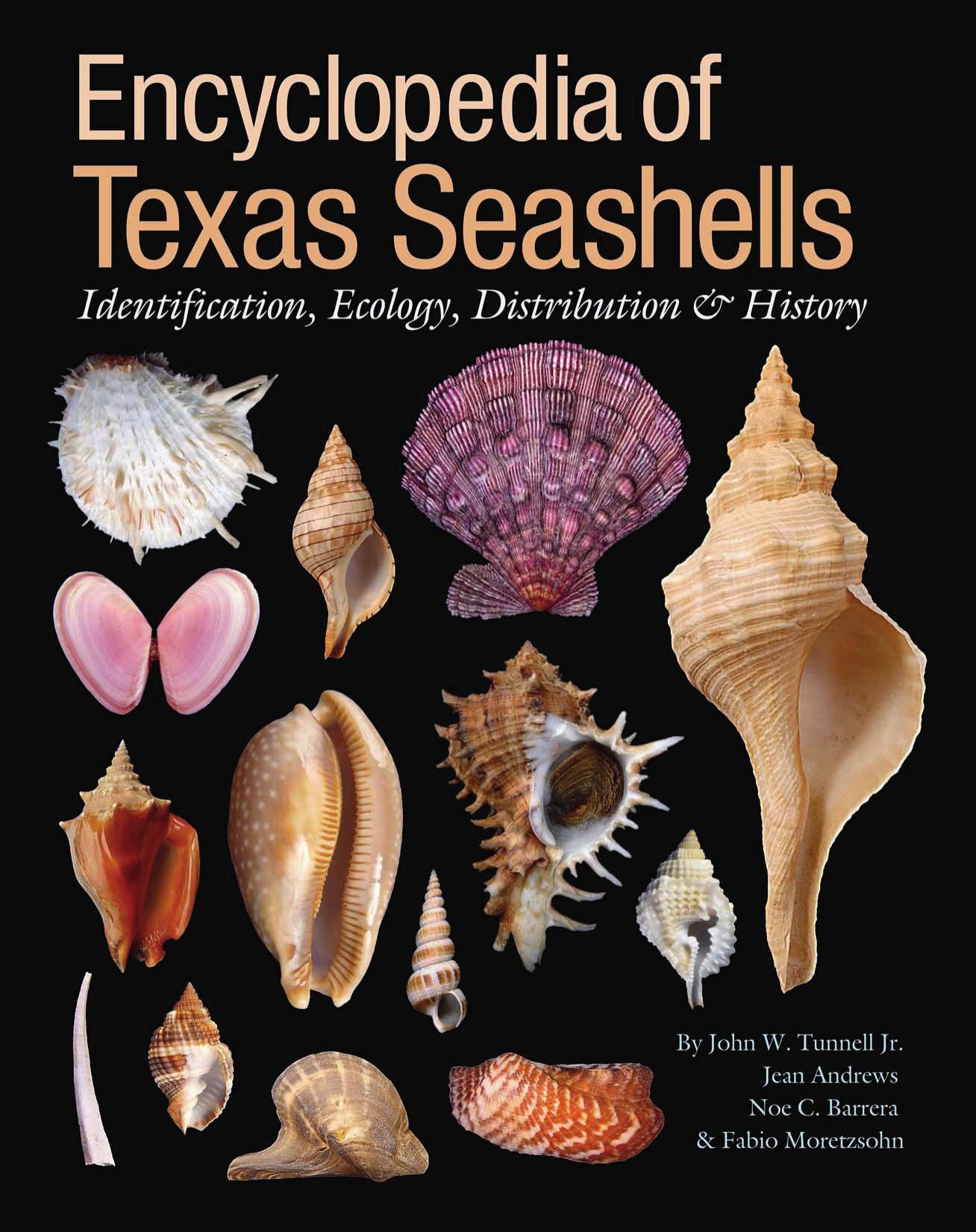 Encyclopedia of Texas Seashells: Identification, Ecology, Distribution, and History by unknow