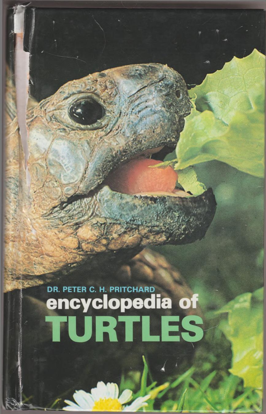 Encyclopedia of Turtles by Pritchard P