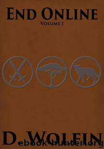 End Online: Volume 1 by D Wolfin