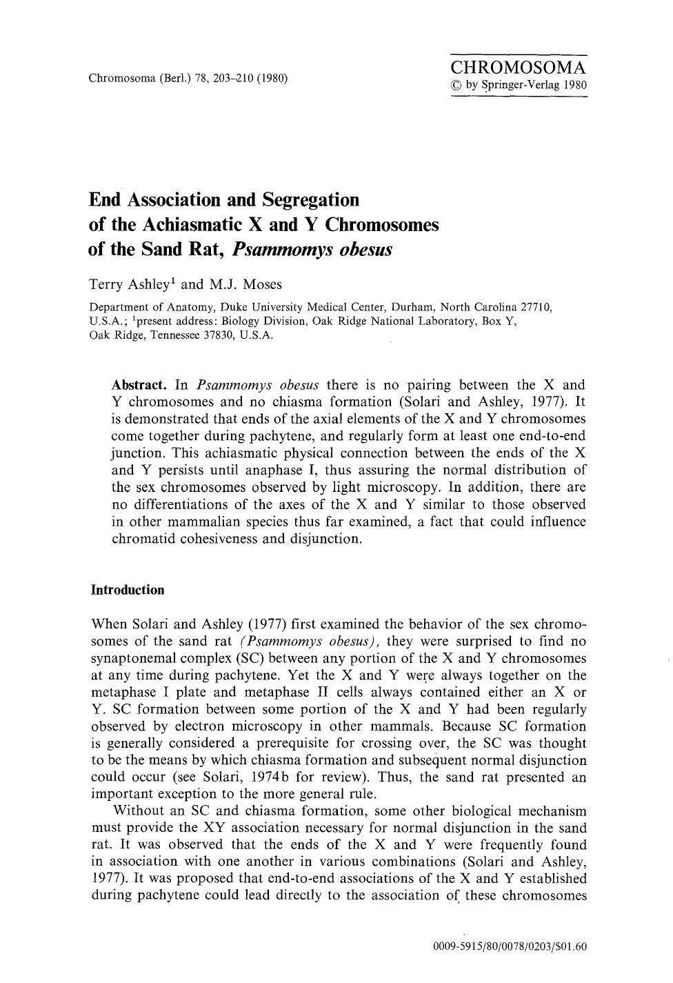 End association and segregation of the achiasmatic X and Y chromosomes of the sand rat, <Emphasis Type="Italic">Psammomys obesus<Emphasis> by Unknown