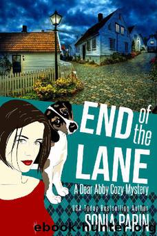 End of the Lane by Sonia Parin