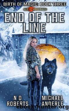 End of the Line by N.D. Roberts & Michael Anderle