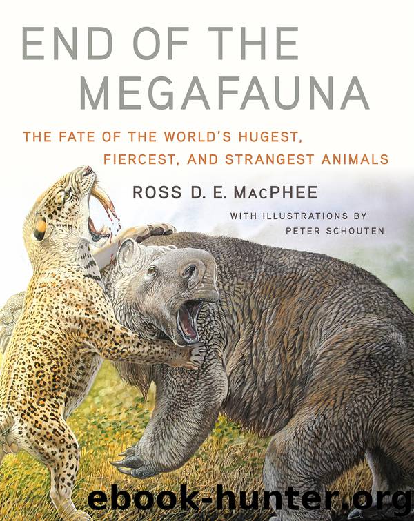 End of the Megafauna by Ross D E MacPhee