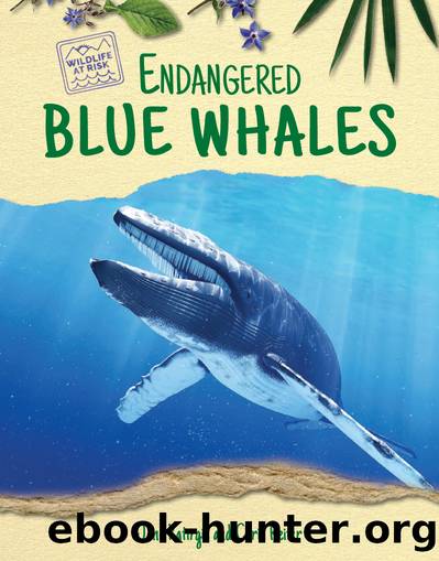 Endangered Blue Whales by Chris Reiter